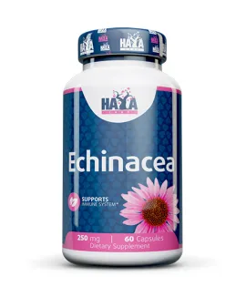 Ехинацея 250 мг., 60 капс. / HAYA LABS Echinacea 250 mg / 60 Caps
